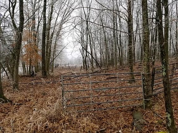 4th image of 4616 Plantation Ln