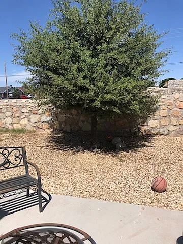 3908 Tierra Marfil Rd — Photo 16
