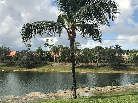 Lake & Palm views