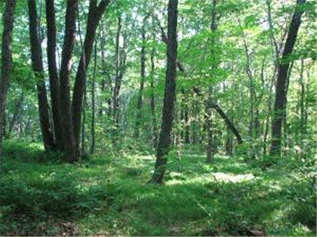 2nd image of 000 W Paul Lake Dr