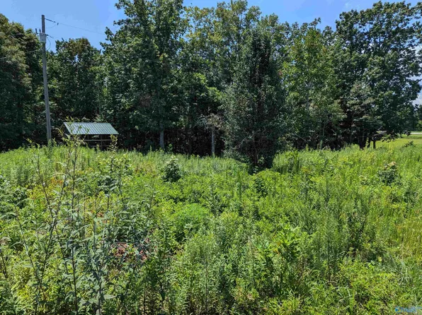 2016 County Road 8, Woodville, AL 35776