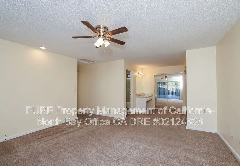 5336 Alyssum Ct — Photo 16