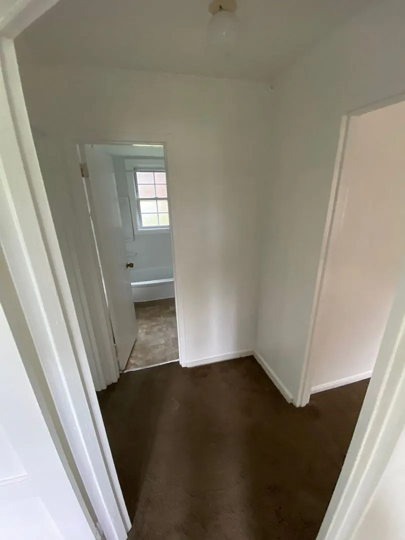 Chestnut Hills Apartments! — Photo 4