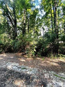 20708 Allen St, Mount Vernon, AL, 36560
