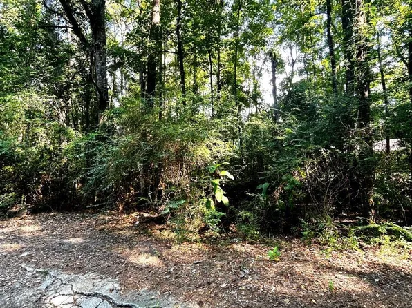 20708 Allen St, Mount Vernon, AL 36560