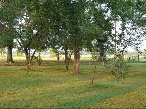 4th image of 2070 County Road 3009