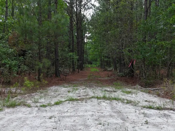 0 Duck Pond Rd, Sylvania, GA 30467