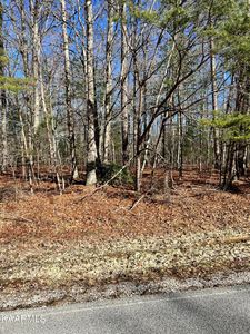 741 Westchester Dr, Fairfield Glade, TN, 38558