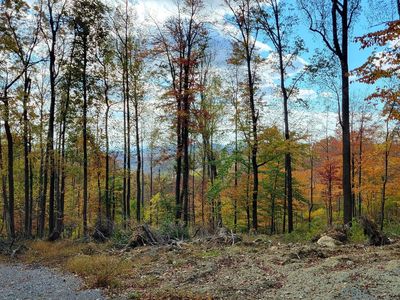 4460 Middlepoint Rd, Myersville, MD, 21773