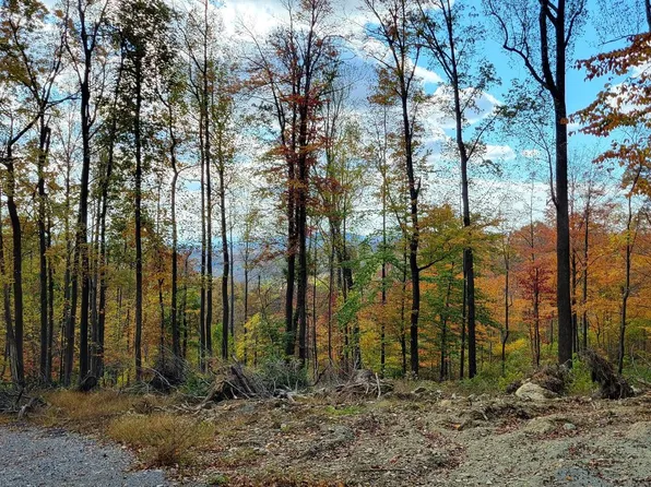 4460 Middlepoint Rd, Myersville, MD 21773