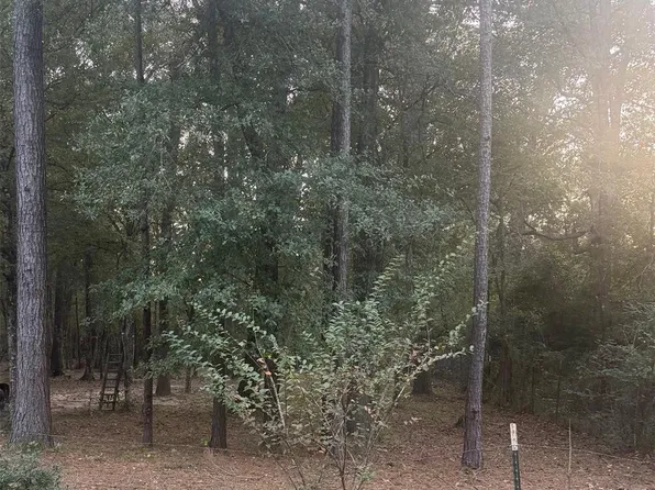 19008 Nottingham Ln, New Caney, TX 77357