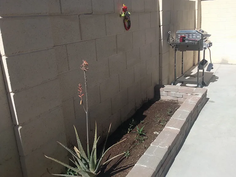 patio planting area