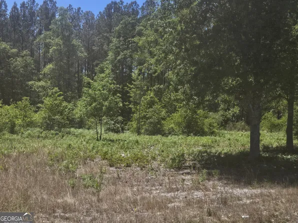 0 Edgar Lane Rd, Millen, GA 30442