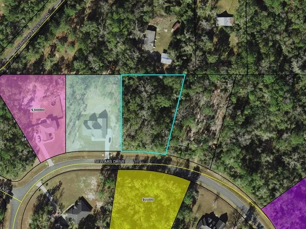 Xxx Sellars Dr, Crawfordville, FL 32327