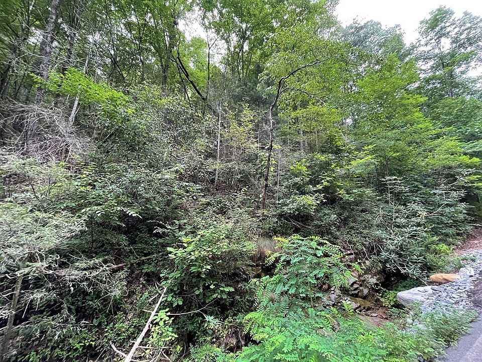 2nd image of 19 Spicewood St Lot 19