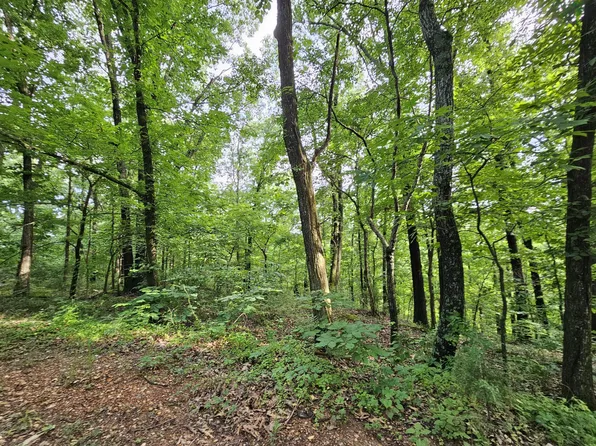 20 Ac Jesse James Road, Pineville, MO 64856