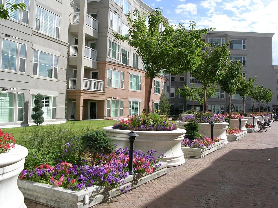 Patio and BBQ