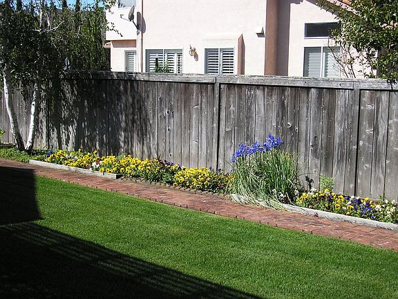 Colorful Backyard