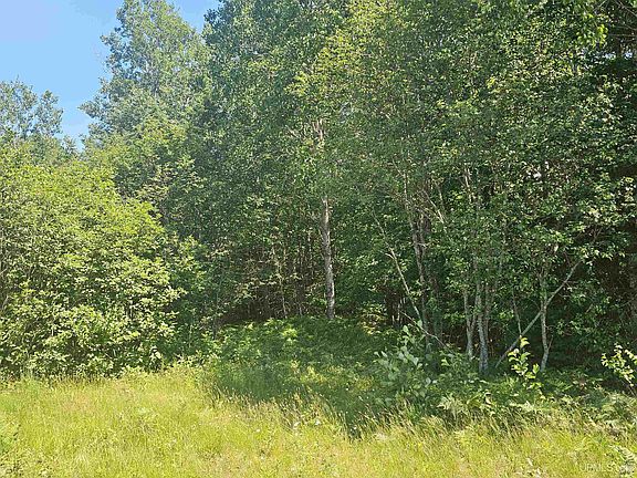 3rd image of PARCEL M24 River Trails Rd