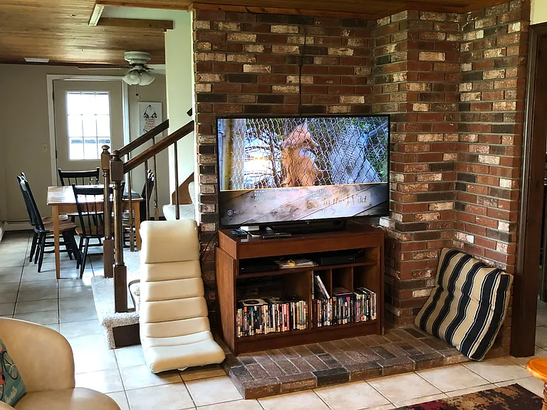 Living room, 55" HDTV, DVD player and movie collection