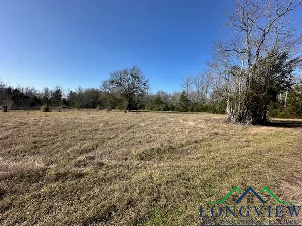 10953 County Road 4182 W, Henderson, TX 75654