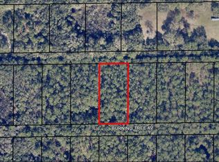 0 Burning Tree Ave Freda Trl, Cocoa, FL 32926
