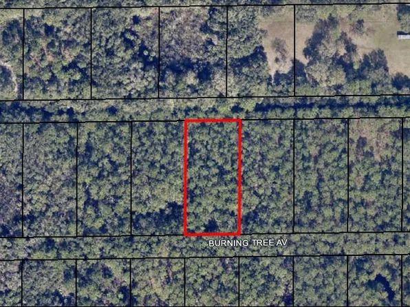 0 Burning Tree Ave Freda Trl, Cocoa, FL 32926