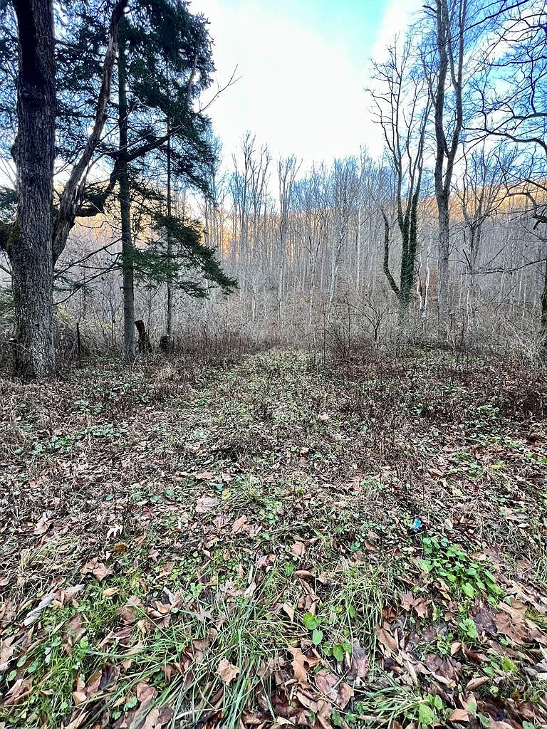 2545 Peachtree Rd, Naoma, WV 25140 MLS 86194 Zillow