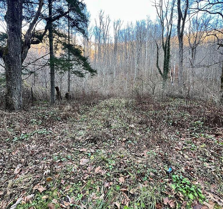2545 Peachtree Rd, Naoma, WV 25140 MLS 86194 Zillow