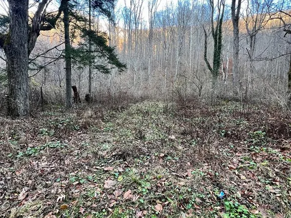 2545 Peachtree Rd, Naoma, WV 25140