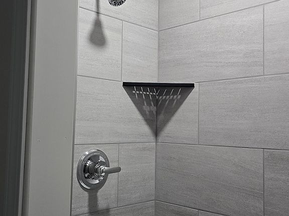 Master bathroom shower (tile)