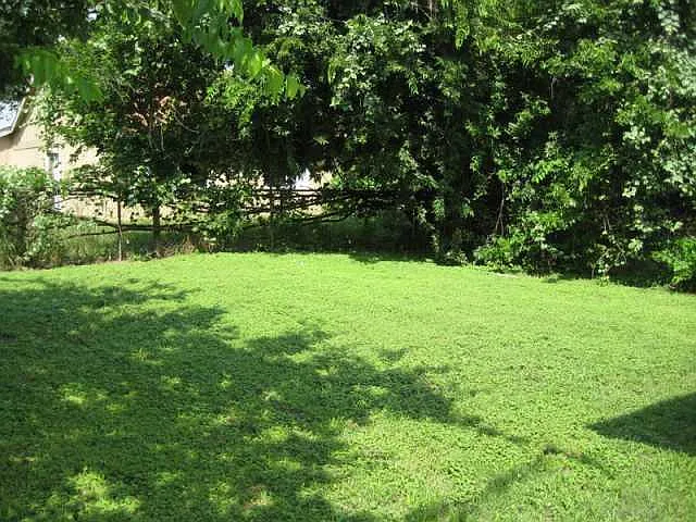 12407 Tree Line Dr #B — Photo 14
