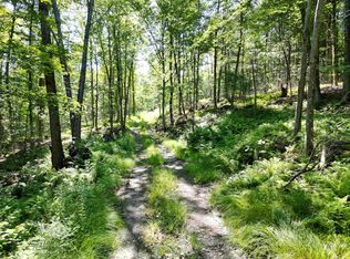 00 Dover Road #8, Newfane, VT 05351