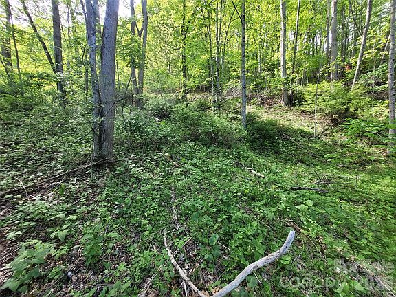 4th image of 0 Fox Run Rd