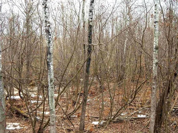 40XX Fairview Rd, Duluth, MN 55803