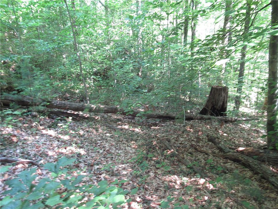1st image of 0 Gauley Falls Rd