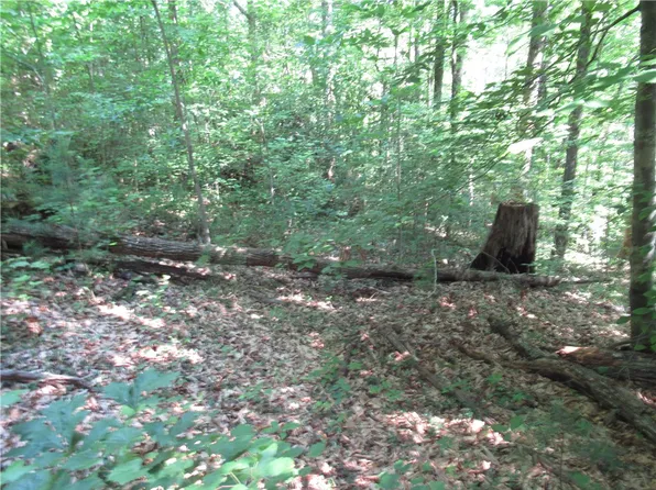 0 Gauley Falls Rd, Pickens, SC 29671