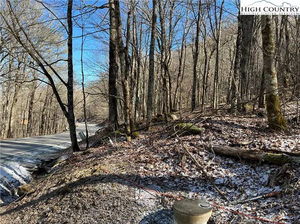 TBD Grouse Moor, Sugar Mountain, NC 28604