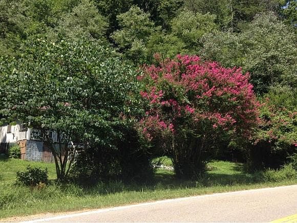 2nd image of 1551 Pressmens Home Rd