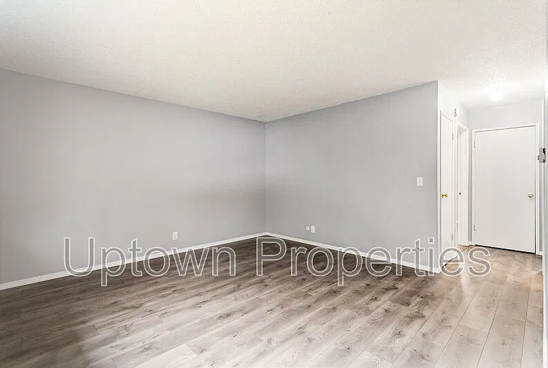 2 bed, 1.0 bath, 711 sqft, $1,445 — Photo 4