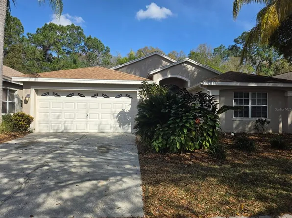 11807 DERBYSHIRE DRIVE, TAMPA, FL 33626