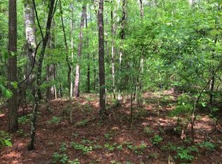 216 Levi Cooper Rd, Braxton, MS 39044