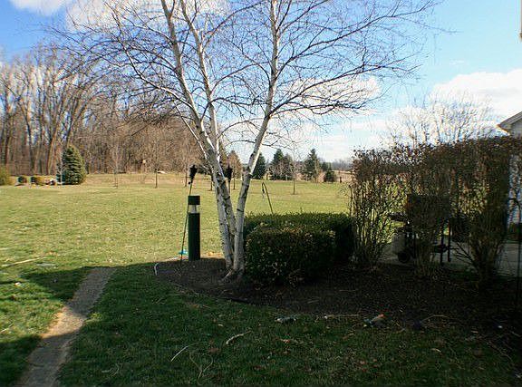 4th image of 3605 Songwood Cir