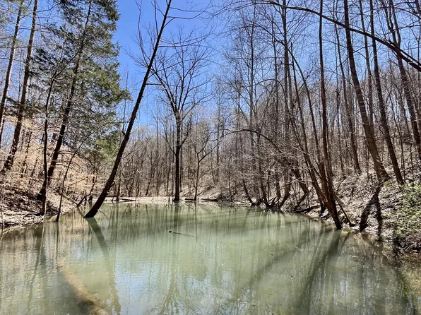 458 Rock House Hollow Rd, Westmoreland, TN 37186