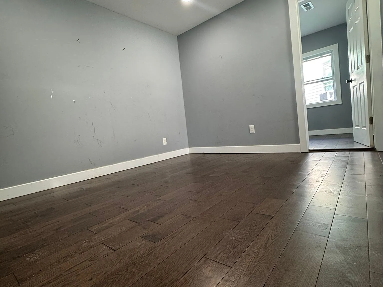 2 bed, 800 sqft, $1,750 — Photo 3