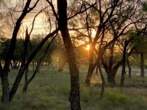 495 Buffalo Creek Dr Lot 95, Evant, TX 76525