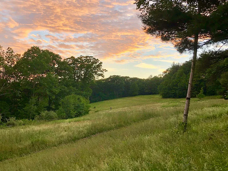 View from the deck
