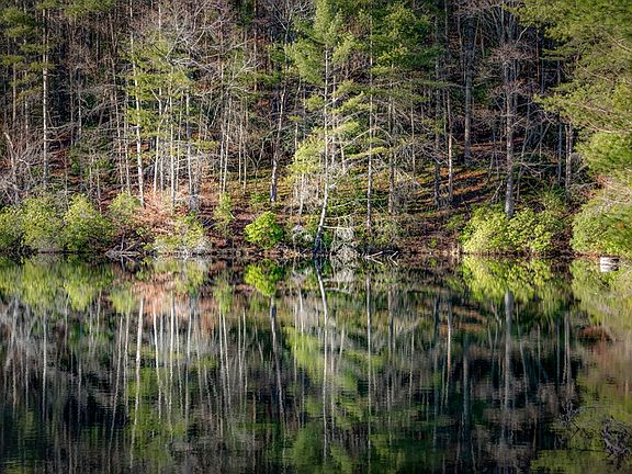 5th image of 120 Cohutta Ranch Rd