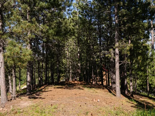 Davidson Ct, Lead, SD 57754