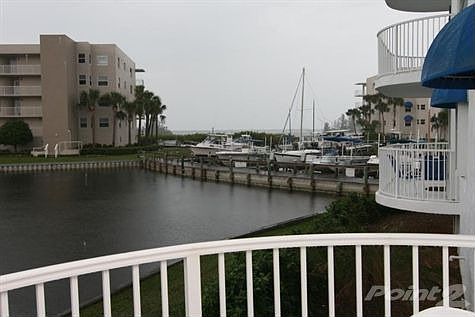 IMG_1481